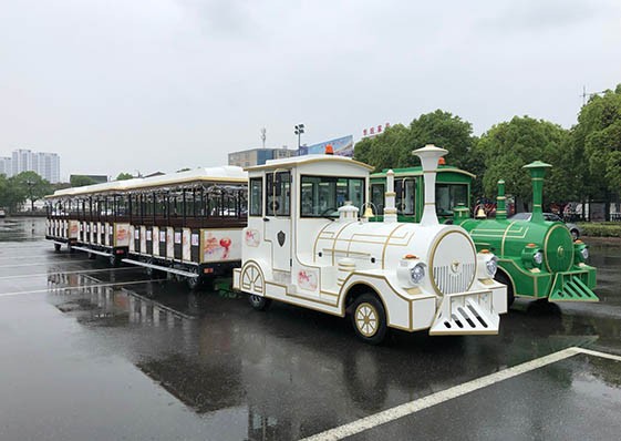 旅游觀光小火車定制-樣式