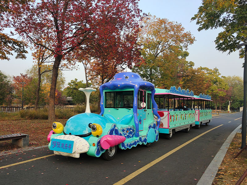 無(wú)軌小火車(chē)游樂(lè)設(shè)備